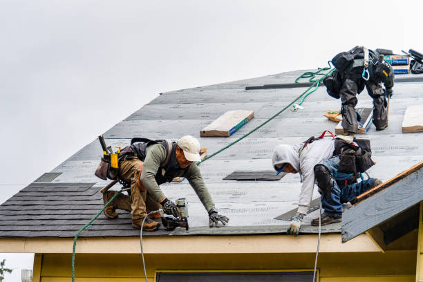 Professional Roofing technician working in Rochester, IL